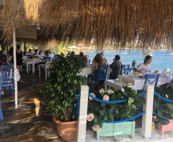 Miços Yalıkavak Butik Otel-Pansiyon- Balıkçı Restaurant - Meyhane