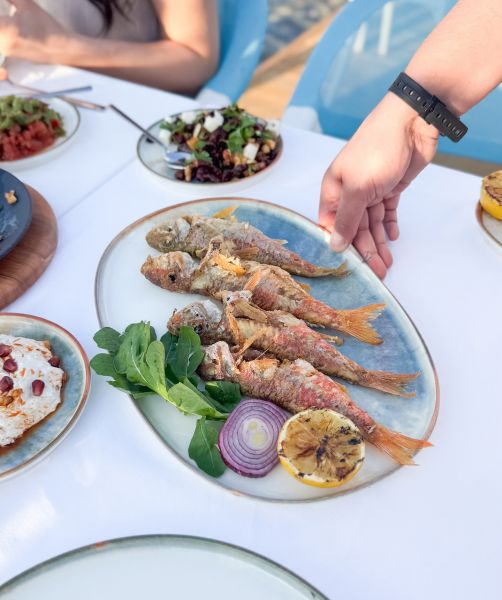 Yalıkavak Balıkçı