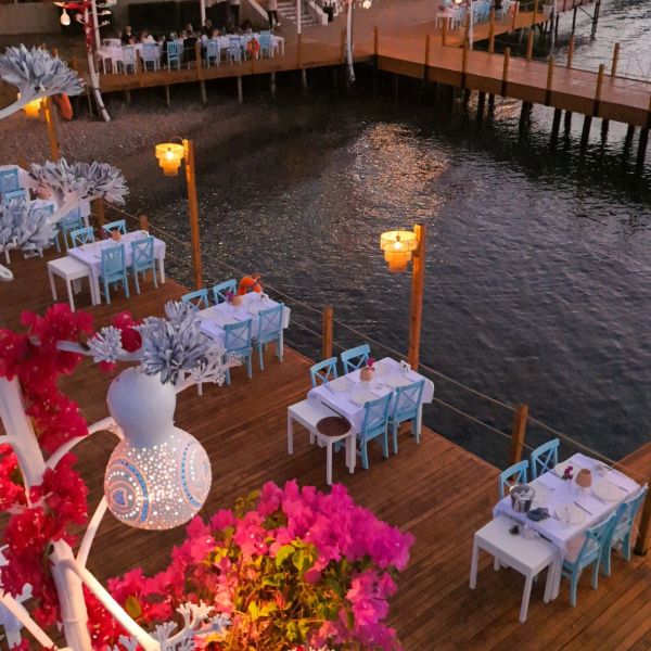 Yalıkavak'ta Balık Nerede Yenir? | En İyi Balık Restaurant Tavsiyeleri